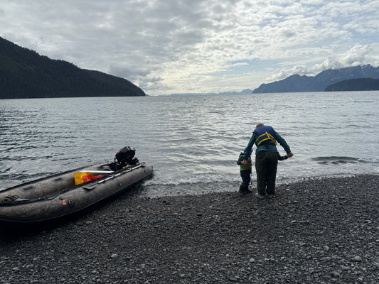 Alaska Black Bear Hunt