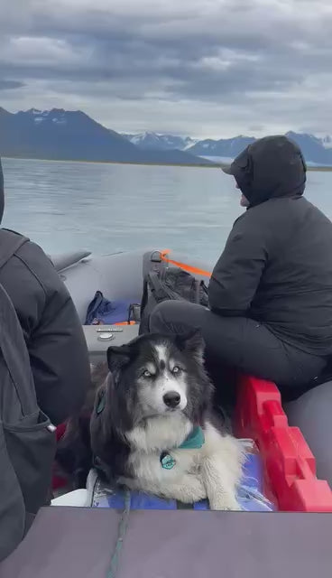 Stryker 470 Inflatable Jet Boat with 60/40 HP Jet Outboard running on Alaska’s Knik River — powerful jet performance in shallow water.